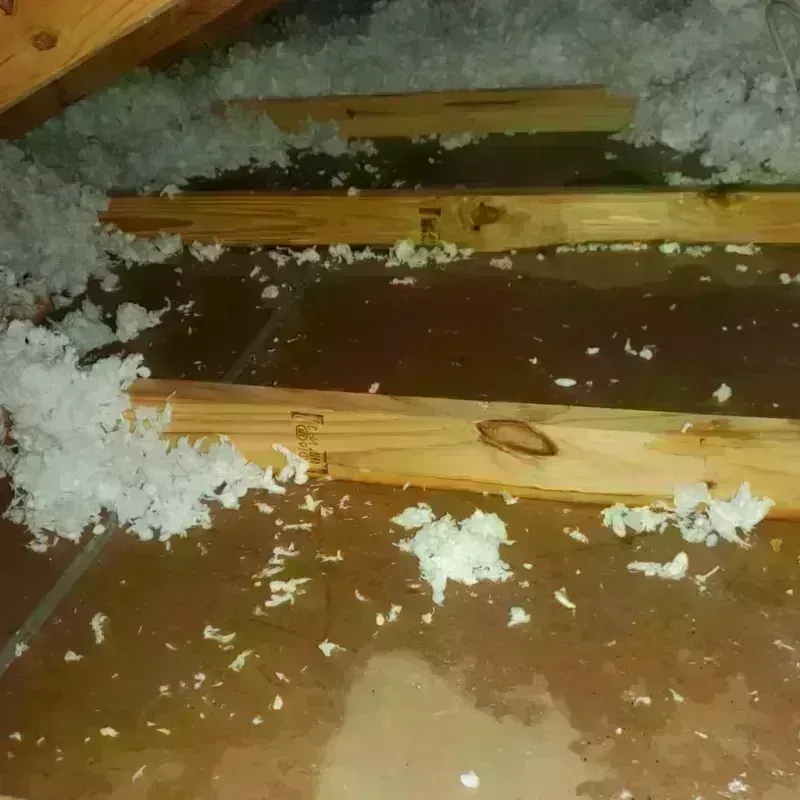 Attic Water Damage in Norway, MI